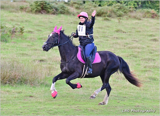 What's the inspiration behind Willow's Earth?